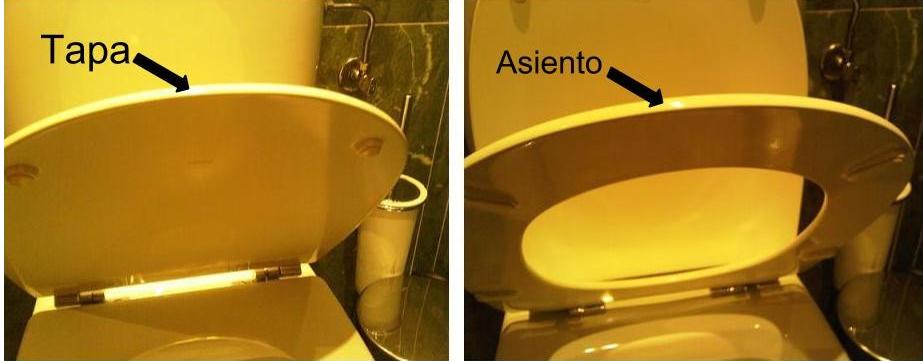 Tapa y asiento de inodoro